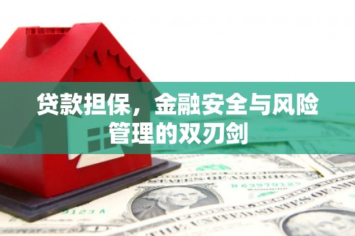 丰滨贷款担保，金融安全与风险管理的双刃剑