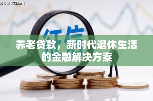 丰滨养老贷款，新时代退休生活的金融解决方案