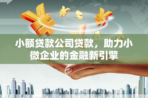 丰滨小额贷款公司贷款，助力小微企业的金融新引擎
