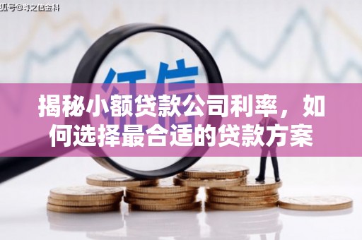 丰滨揭秘小额贷款公司利率，如何选择最合适的贷款方案