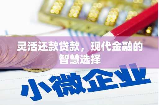 丰滨灵活还款贷款，现代金融的智慧选择