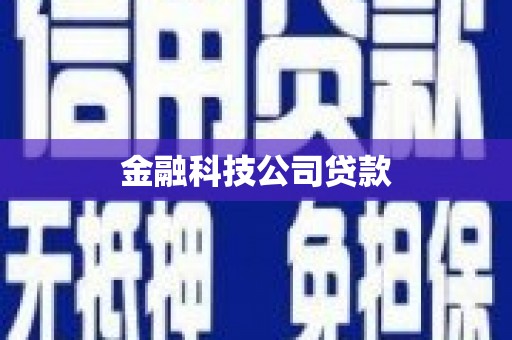 丰滨金融科技公司贷款