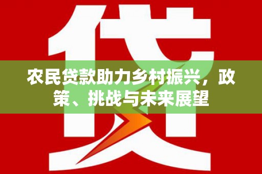 丰滨农民贷款助力乡村振兴，政策、挑战与未来展望