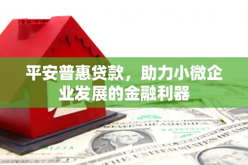 丰滨平安普惠贷款，助力小微企业发展的金融利器