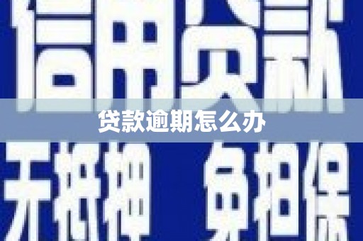 丰滨贷款逾期怎么办