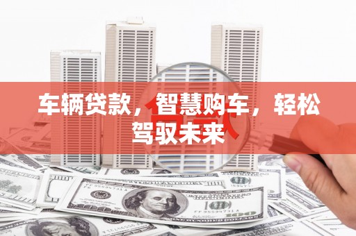 丰滨车辆贷款，智慧购车，轻松驾驭未来