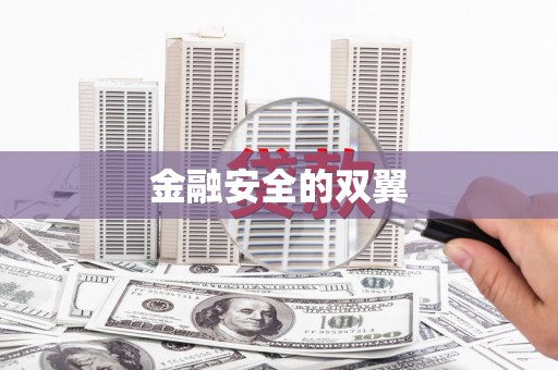丰滨金融安全的双翼