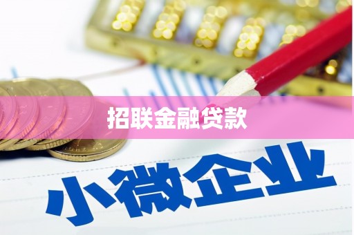 丰滨招联金融贷款