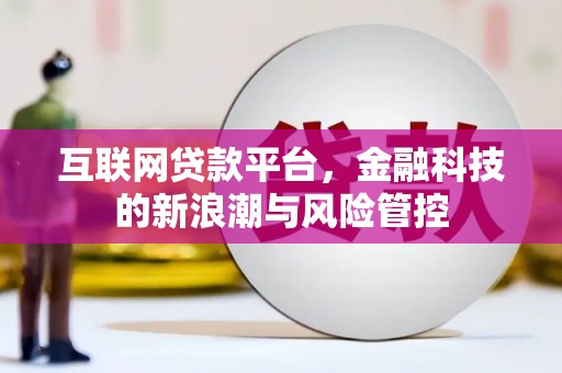 丰滨互联网贷款平台，金融科技的新浪潮与风险管控