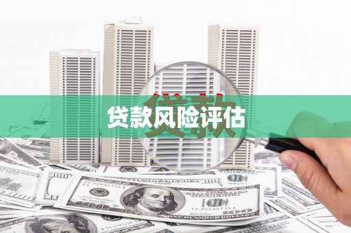 丰滨贷款风险评估