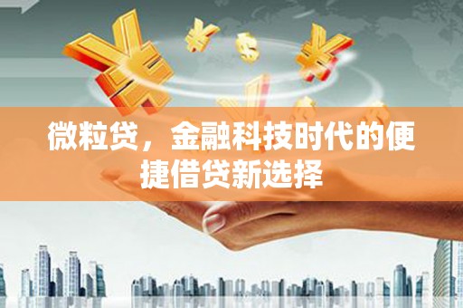 丰滨微粒贷，金融科技时代的便捷借贷新选择