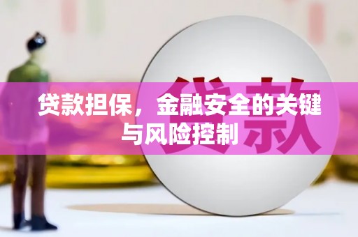 丰滨贷款担保，金融安全的关键与风险控制