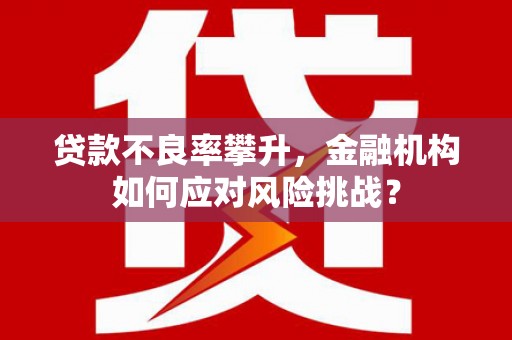 丰滨贷款不良率攀升，金融机构如何应对风险挑战？