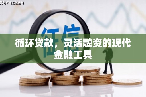 丰滨循环贷款，灵活融资的现代金融工具