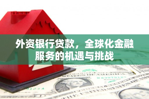 丰滨外资银行贷款，全球化金融服务的机遇与挑战