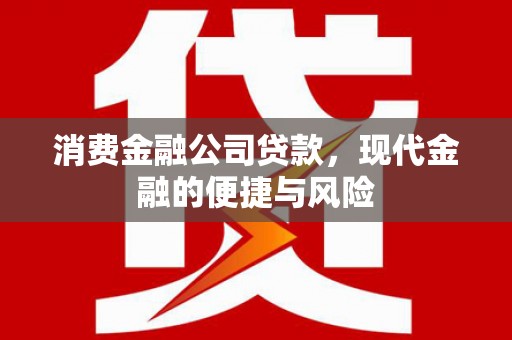 丰滨消费金融公司贷款，现代金融的便捷与风险