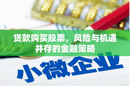 丰滨贷款购买股票，风险与机遇并存的金融策略