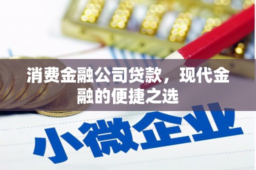 丰滨消费金融公司贷款，现代金融的便捷之选