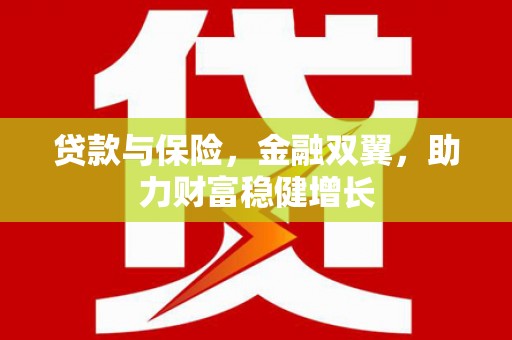 丰滨贷款与保险，金融双翼，助力财富稳健增长