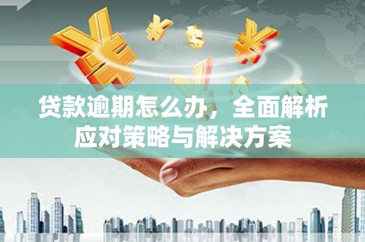 丰滨贷款逾期怎么办，全面解析应对策略与解决方案