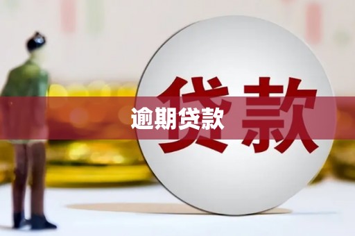 丰滨逾期贷款