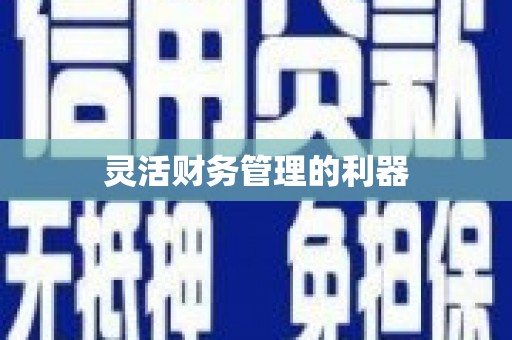 丰滨灵活财务管理的利器