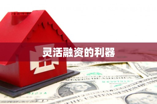 丰滨灵活融资的利器