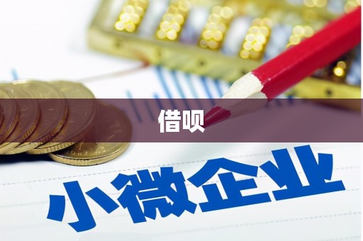 丰滨借呗