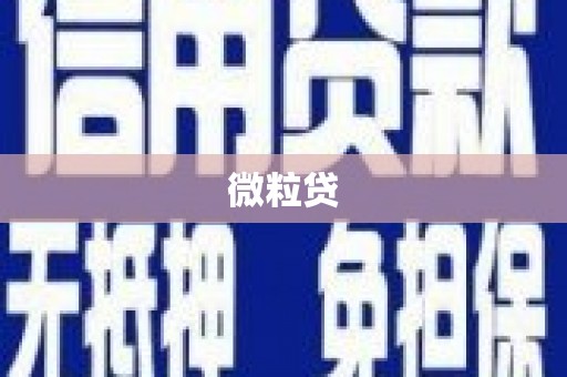 丰滨微粒贷