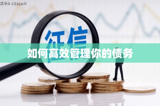 丰滨如何高效管理你的债务