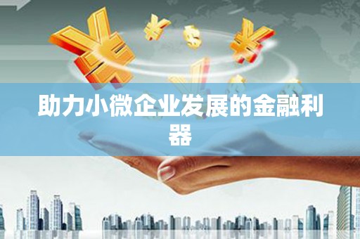 丰滨助力小微企业发展的金融利器