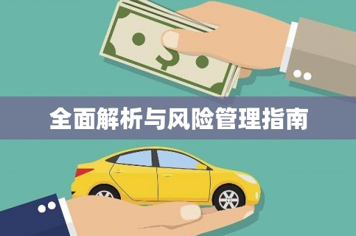 丰滨全面解析与风险管理指南