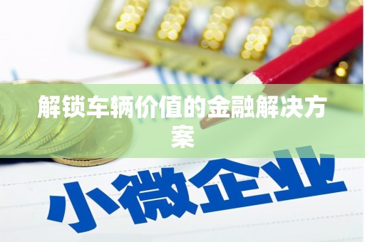 丰滨解锁车辆价值的金融解决方案