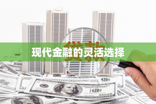 丰滨现代金融的灵活选择