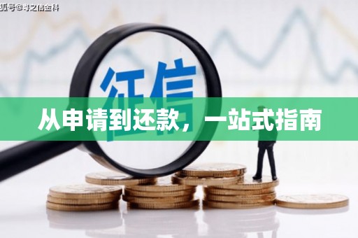 丰滨从申请到还款，一站式指南