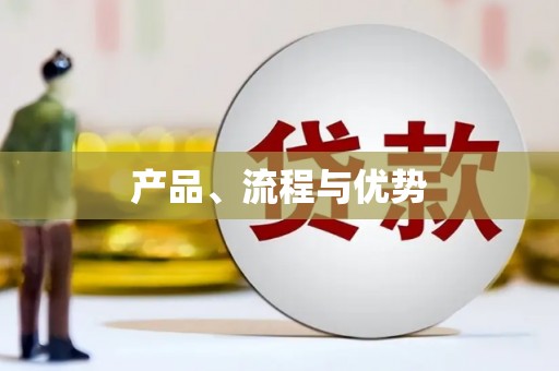 丰滨产品、流程与优势