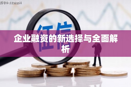丰滨企业融资的新选择与全面解析