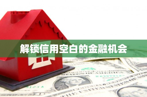 丰滨解锁信用空白的金融机会