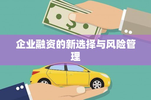 丰滨企业融资的新选择与风险管理