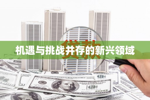 丰滨机遇与挑战并存的新兴领域