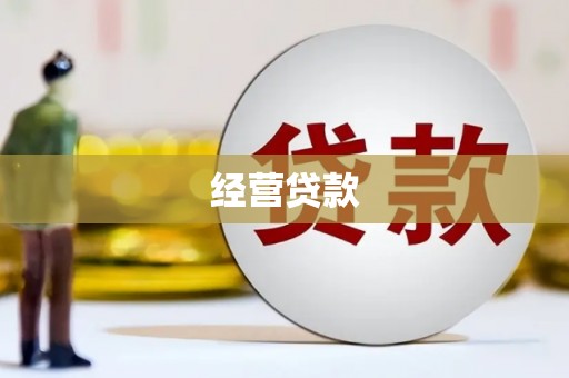 丰滨经营贷款