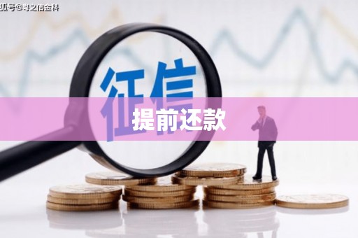 丰滨提前还款