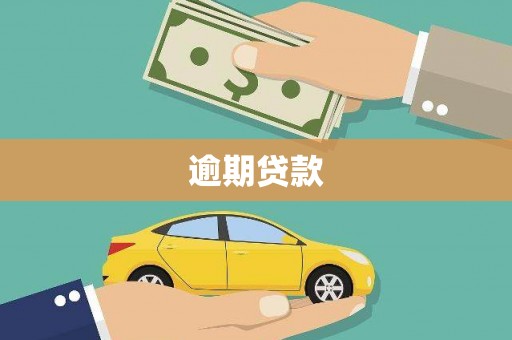 丰滨逾期贷款