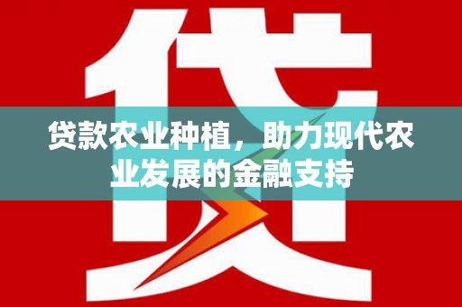 丰滨贷款农业种植，助力现代农业发展的金融支持